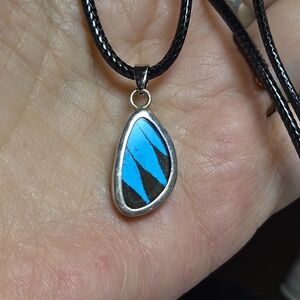 Real Blue Morpho Butterfly Wing 925 Sterling Silver Pendant Necklace & Chain